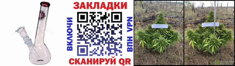 Где купить наркоту Севск Alpha-PVP  Мефедрон  ГАШ  Марихуана  Галлюциногенные грибы  COCAIN 