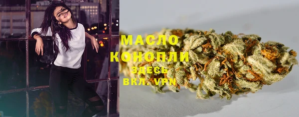 сатива Осинники