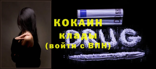 сатива Осинники
