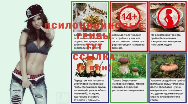 сатива Осинники