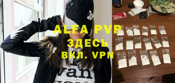 сатива Осинники