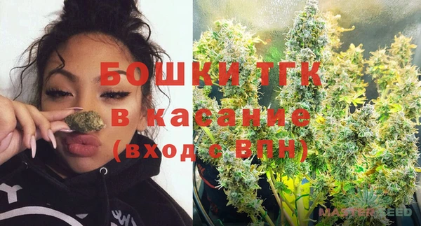 сатива Осинники